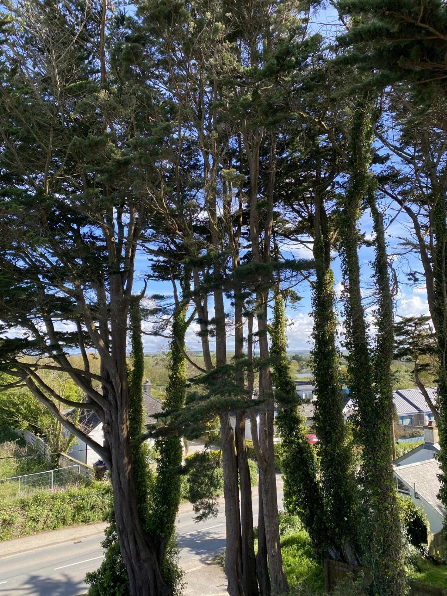 Bryher Wadebridge Zewnętrze zdjęcie